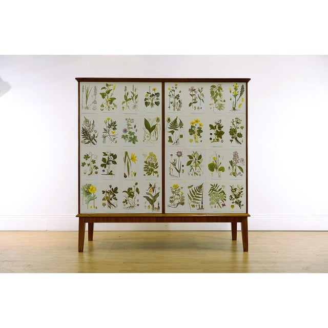 Swedish Modern Flora Cabinet with Illustrations by C.A.M Lindman, 1940s For Sale - Image 3 of 9