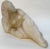 Midcentury Carved Stone Sculpture of a Nude For Sale - Image 4 of 13
