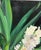 Discover the timeless elegance of an original signed “Hyacinths” oil on canvas by acclaimed artist Mary Helen Seago - a...