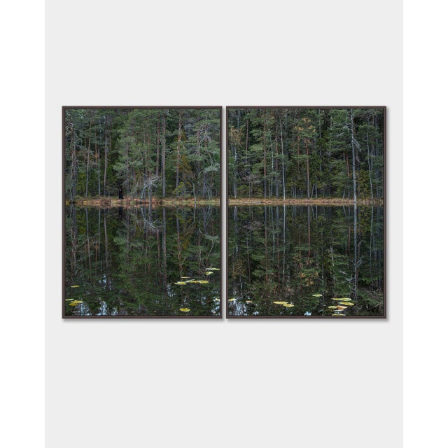 "Deep_Mirroring_Forest_011" Diptych, Limited Edition Fine Art Photograph by Bernhard Lang, Set of 2 For Sale - Image 4 of 13