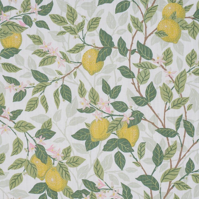 English Boråstapeter Citronträd Fabric In Ivory And Leaf For Sale - Image 3 of 5