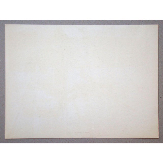 After Hans Hartung, Pastel P.1947-20, 1962, Héliogravure For Sale - Image 11 of 12