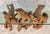 Vintage Sculptural Natural Burlwood Root Dining Table With Rectangular Glass Top For Sale - Image 16 of 18