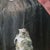 1960s Haunting Mid-Century Oil on Canvas Post-War Nuclear Holocaust, 1962 For Sale - Image 5 of 8
