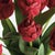 100% realistic a perfect copy of nature. This Peony Tulip dropin is a nomaintenance work of art. A beautiful standalone...