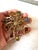 Mid-Century Modern Vintage Gold Fill Rhinestone Brooch For Sale - Image 3 of 6