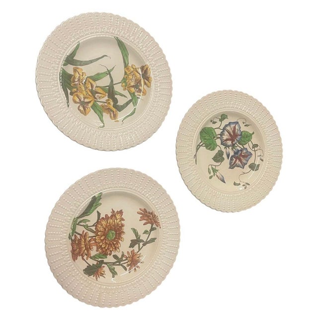 Illustration Set of 12 Antique Cauldon Ltd. England Botanical Porcelain Plates, Circa 1905–1920 For Sale - Image 3 of 12