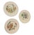 Illustration Set of 12 Antique Cauldon Ltd. England Botanical Porcelain Plates, Circa 1905–1920 For Sale - Image 3 of 12