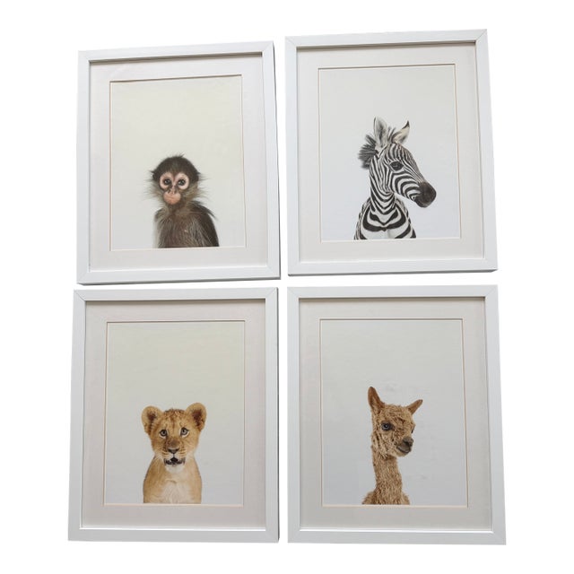 Restoration Hardware Baby Animal Portraits - Set of 4 For Sale