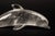 Hand-Carved Rock Crystal Dolphin For Sale In New York - Image 6 of 6