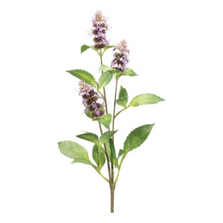Buddleia Floral Stem (Set of 6) For Sale