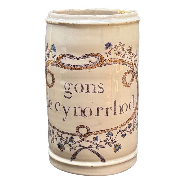 19th Century Earthenware Pharmacy Jar with Branches and Snakes For Sale