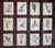 Authentic Antique 19th Century Anne Pratt Botanical Chromolithographs - Set of 12 For Sale - Image 10 of 10