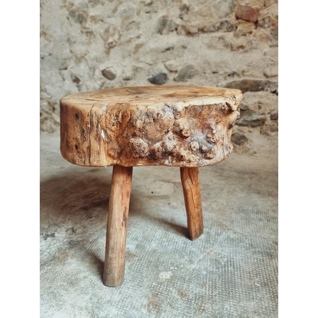 Rustic Brutalist French Burled Cherrywood Stool Primitive Milking Stool, 1890s For Sale - Image 3 of 11