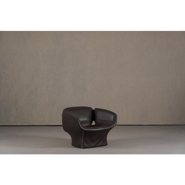 Bloomy Armchair by Patricia Urquiola for Moroso, Italy, 2000s For Sale - Image 15 of 15