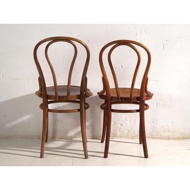 Wood Chairs in Bentwood from Thonet, Central Europe, 1930, Set of 2 For Sale - Image 7 of 13