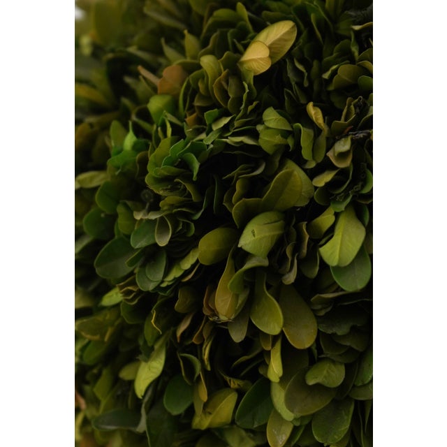 Wildwood Pair of Wildwood Accents Topiary Urns For Sale - Image 4 of 9