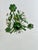 Italian Painted Tole Daisy Chandelier by Sergio Terzani, 1970s For Sale - Image 11 of 15