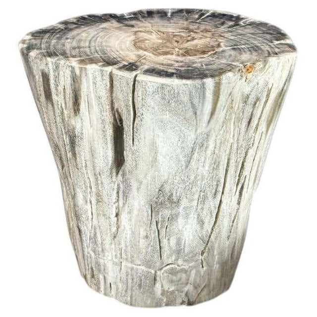 Andrianna Shamaris Ancient Petrified Wood Side Table For Sale