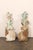 Early 19th C. Italian Carved Wood Fragments For Sale - Image 4 of 10