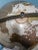 Traditional Late 20th Century Repogle Globe on Floor Stand For Sale - Image 3 of 16