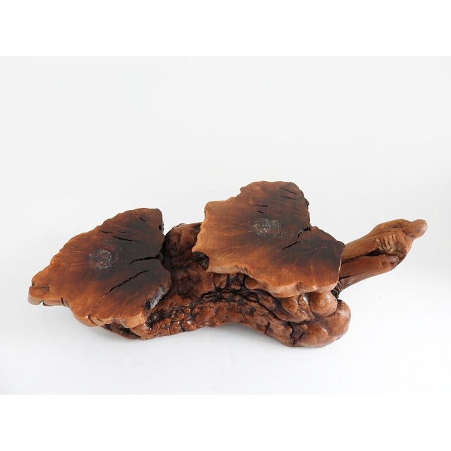 Mid-Century Organic Burl Wood Pedestal Stand & Fine Etched Pyrography Gourds - Set of 3 For Sale - Image 16 of 18