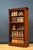 Victorian Mahogany Open Bookcase, 1880 For Sale - Image 3 of 16