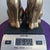 Large 9" Heavy Vintage Solid Brass Sitting Cat Bookends - Pair For Sale - Image 4 of 6