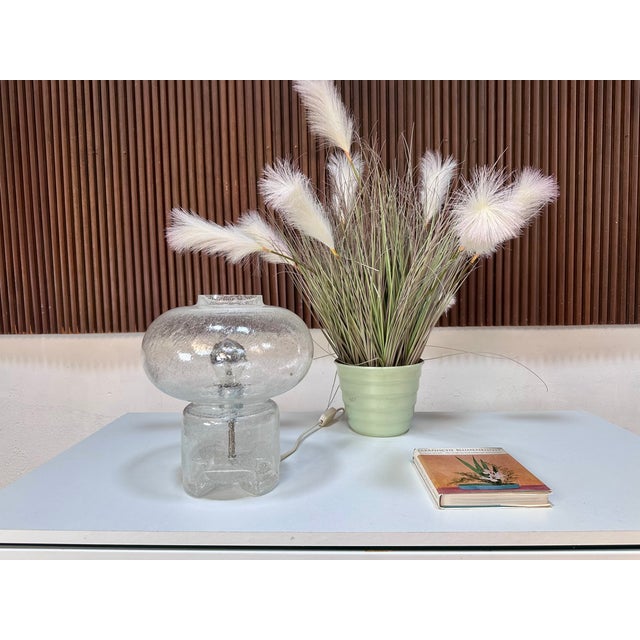 Clear Frosted Glass Table Lamp from Glashütte Süssmuth Leuchten, Germany, 1960s For Sale - Image 4 of 18