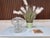 Clear Frosted Glass Table Lamp from Glashütte Süssmuth Leuchten, Germany, 1960s For Sale - Image 4 of 18