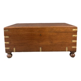19th C. English Brass Bound Camphor Wood Campaign Trunk For Sale