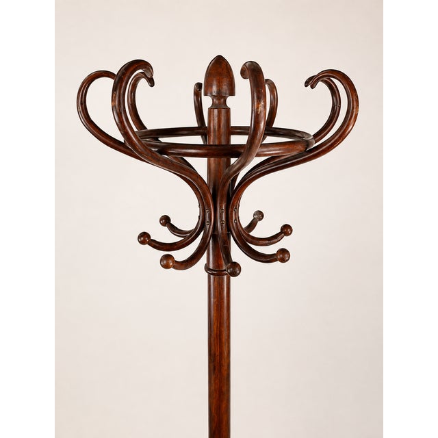Bentwood Coat Rack by Gebrüder Thonet, Austria, 1905 For Sale - Image 3 of 6