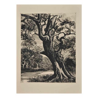 Georges-Henri Tribout, The Tree, Etching, Mid-20th Century For Sale