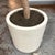 Faux Olive Tree + White Planter For Sale - Image 11 of 12