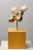 Mima Bronze Sculpture by Eduard Van Giel For Sale - Image 3 of 9
