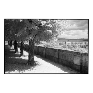 Paul Cooklin, Treeline, Edition of 50 For Sale