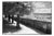 Paul Cooklin, Treeline, Edition of 50 For Sale