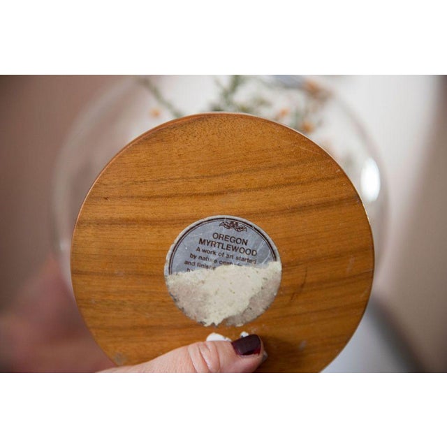 Realism Mid 20th Century Butterfly Globe For Sale - Image 3 of 3