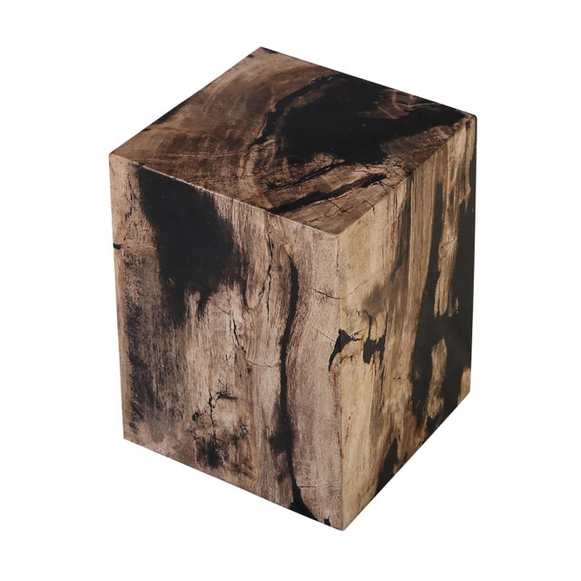 Contemporary Organic Modern Petrified Wood Stool Accent Table For Sale - Image 3 of 8