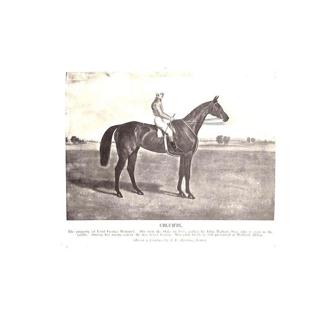 1920s "The Racehorse in Training" 1925 Day, William and Alfred J. For Sale - Image 5 of 10
