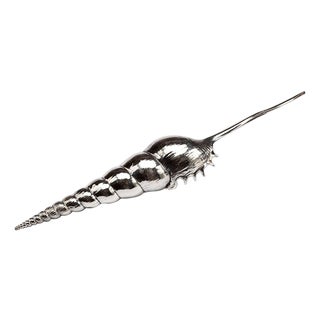 Creel and Gow Silvered Sea Shell Tibia Fusus For Sale