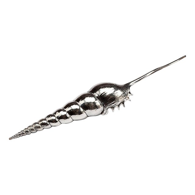 Creel and Gow Silvered Sea Shell Tibia Fusus For Sale