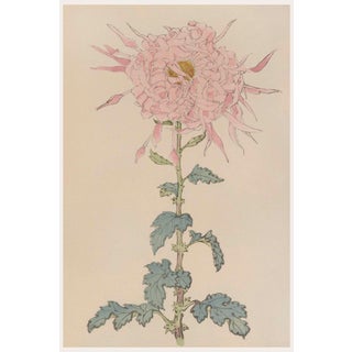 Pink Floral Giclee, Vintage Japanese Botanical Art Print, 12" X 18" For Sale