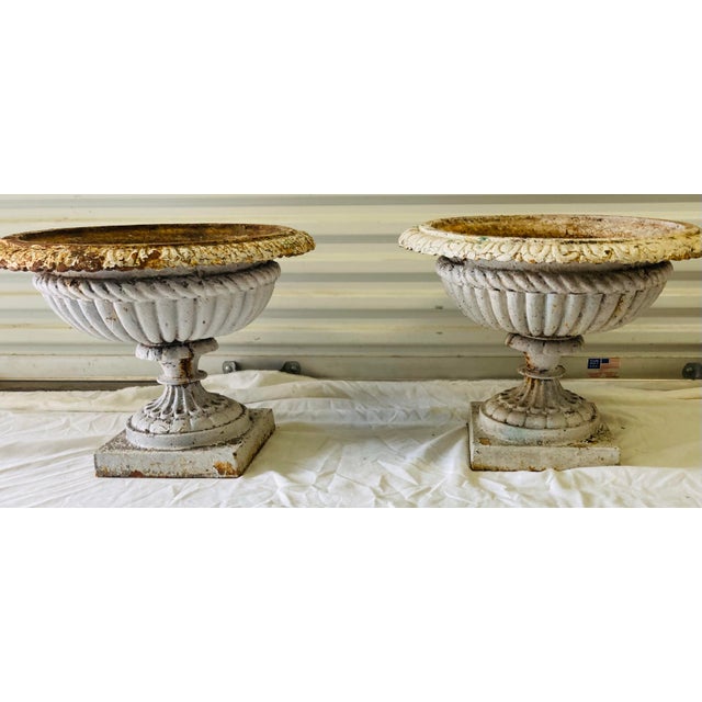 Neoclassical Large Pair Antique White & Rust Neoclassical Iron Garden Planters Early 20th Century For Sale - Image 3 of 10