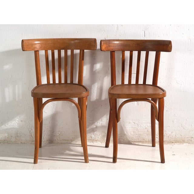 Early 20th Century Bentwood Chairs in the style of Thonet, Central Europe, 1930, Set of 4 For Sale - Image 5 of 12