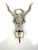Vintage French Country Grapevine Corkscrew Wine Opener For Sale In Little Rock - Image 6 of 12