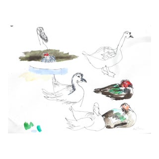 Martha Holden "Portrait of Ducks" Ink on Paper For Sale