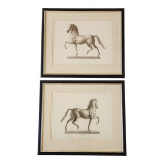 Antique Equestrian Italian Framed Prints-A Pair For Sale