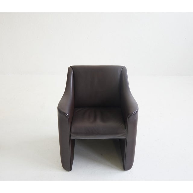 Buffalo Leather Chairs by Luigi Massoni and Pier Giorgio Cazzaniga for Matteo Grassi, 1990s, Set of 8 For Sale - Image 6 of 10