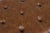 Brown Safavieh Tufted Brown Leather Regency Window Bench For Sale - Image 8 of 16